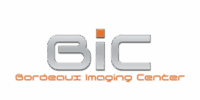 BIC logo